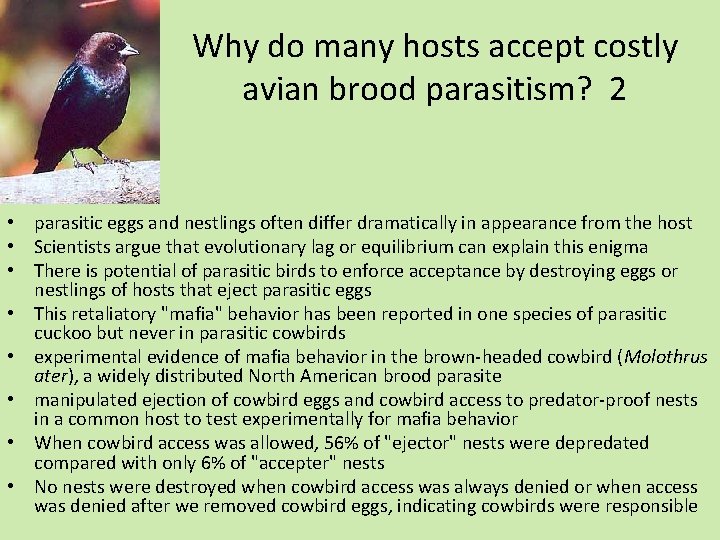 Why do many hosts accept costly avian brood parasitism? 2 • parasitic eggs and