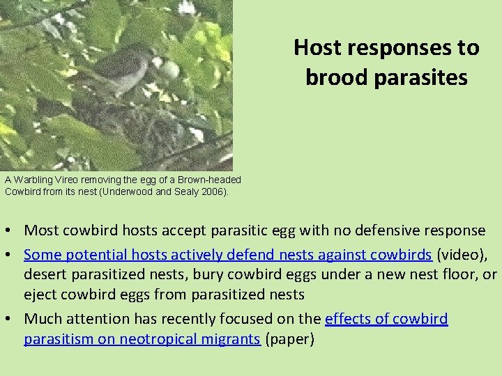 Host responses to brood parasites A Warbling Vireo removing the egg of a Brown-headed