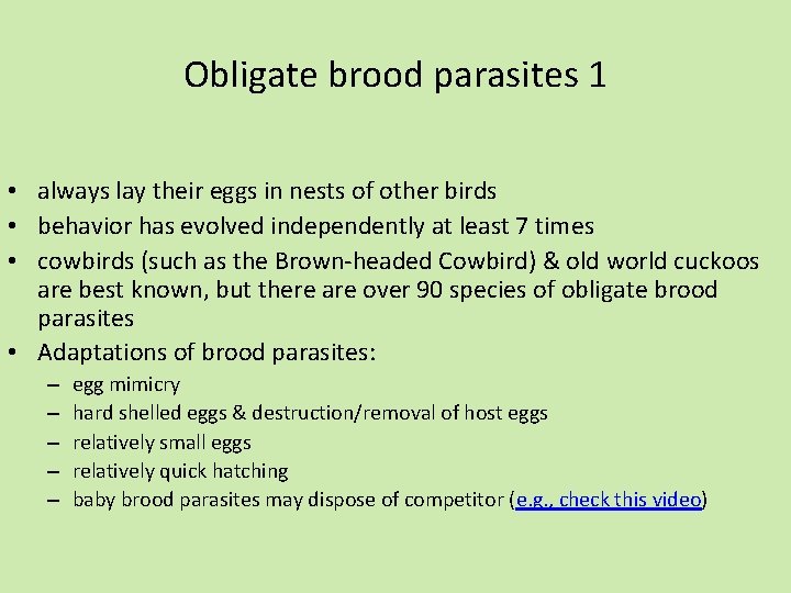 Obligate brood parasites 1 • always lay their eggs in nests of other birds