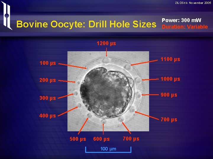 ZILOS-tk- November 2005 Bovine Oocyte: Drill Hole Sizes Power: 300 m. W Duration: Variable