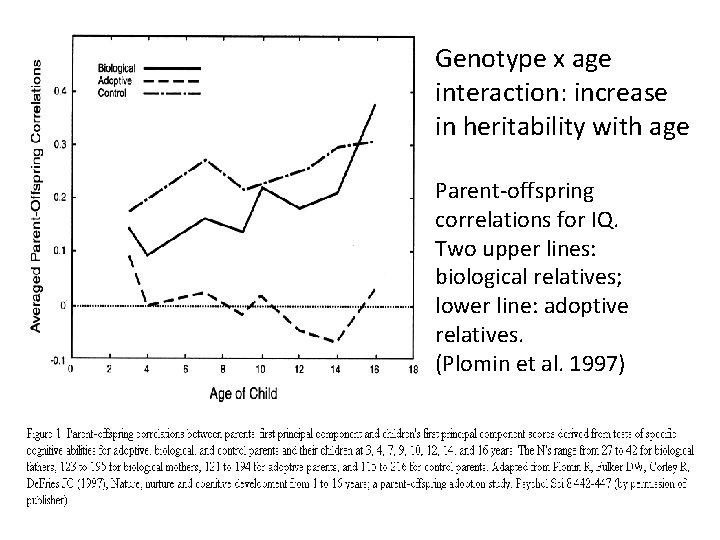 Genotype x age interaction: increase in heritability with age Parent-offspring correlations for IQ. Two