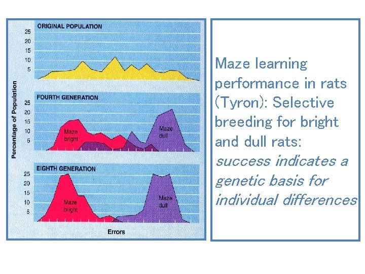 Maze learning performance in rats (Tyron): Selective breeding for bright and dull rats: success