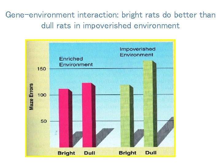 Gene-environment interaction: bright rats do better than dull rats in impoverished environment 