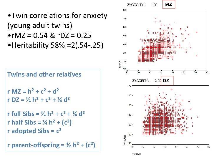 MZ • Twin correlations for anxiety (young adult twins) • r. MZ = 0.