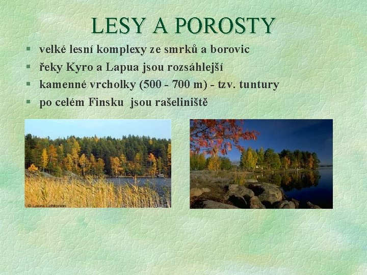 LESY A POROSTY § § velké lesní komplexy ze smrků a borovic řeky Kyro