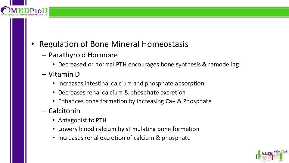  • Regulation of Bone Mineral Homeostasis – Parathyroid Hormone • Decreased or normal