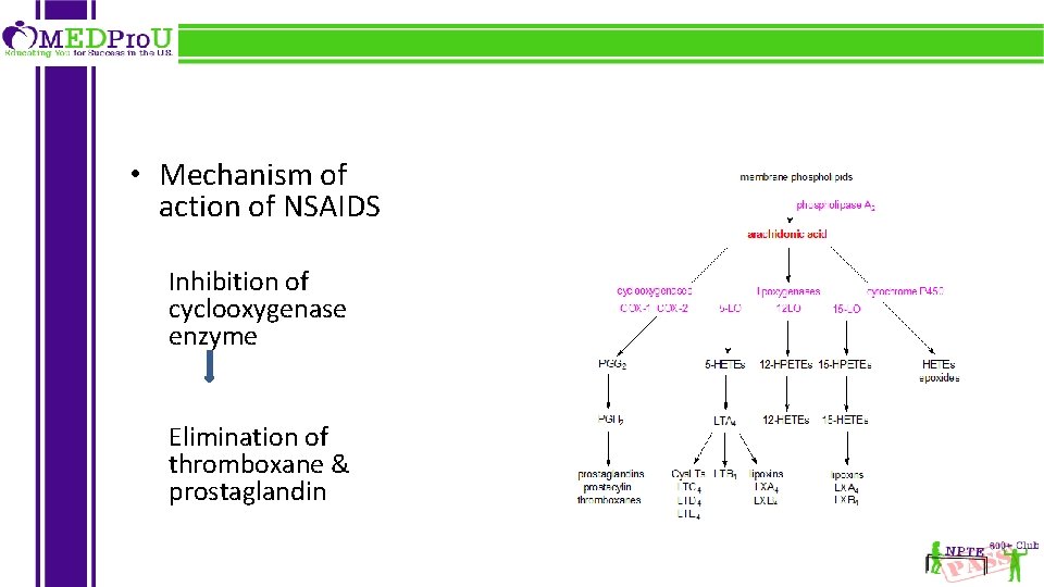  • Mechanism of action of NSAIDS Inhibition of cyclooxygenase enzyme Elimination of thromboxane