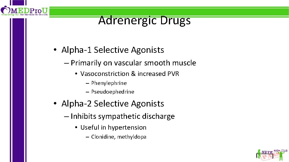 Adrenergic Drugs • Alpha-1 Selective Agonists – Primarily on vascular smooth muscle • Vasoconstriction