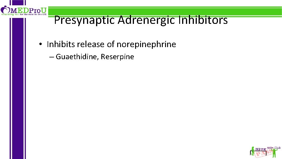 Presynaptic Adrenergic Inhibitors • Inhibits release of norepinephrine – Guaethidine, Reserpine 