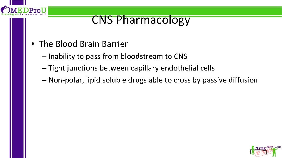 CNS Pharmacology • The Blood Brain Barrier – Inability to pass from bloodstream to