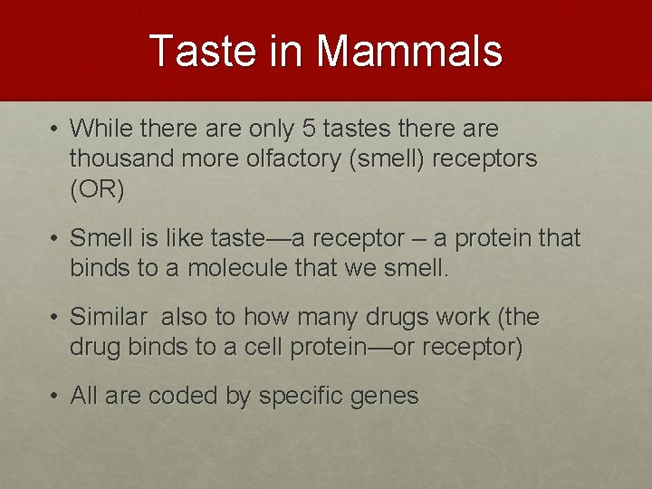 Taste in Mammals • While there are only 5 tastes there are thousand more