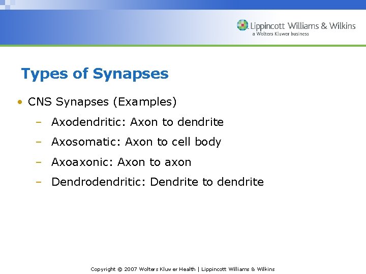 Types of Synapses • CNS Synapses (Examples) – Axodendritic: Axon to dendrite – Axosomatic: