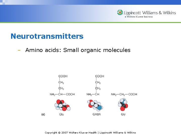 Neurotransmitters – Amino acids: Small organic molecules Copyright © 2007 Wolters Kluwer Health |