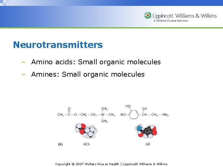 Neurotransmitters – Amino acids: Small organic molecules – Amines: Small organic molecules Copyright ©