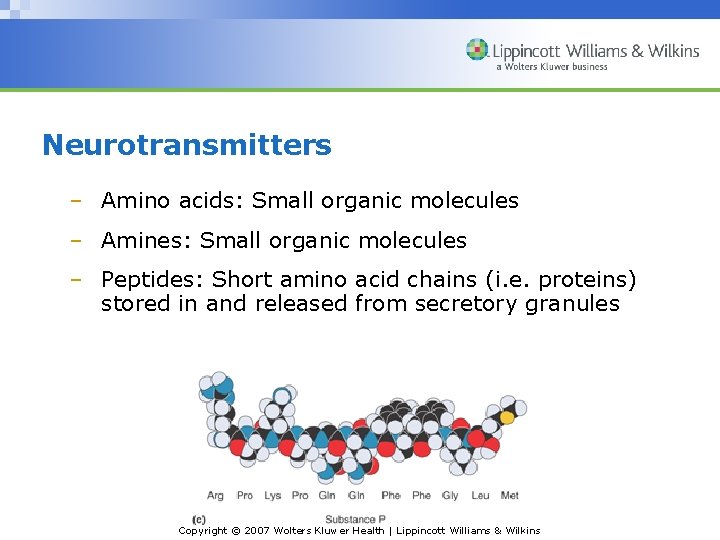 Neurotransmitters – Amino acids: Small organic molecules – Amines: Small organic molecules – Peptides: