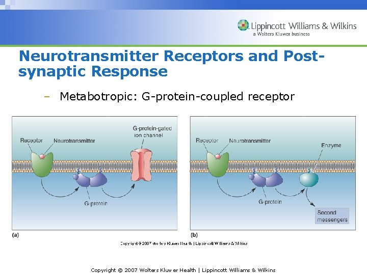 Neurotransmitter Receptors and Postsynaptic Response – Metabotropic: G-protein-coupled receptor Copyright © 2007 Wolters Kluwer