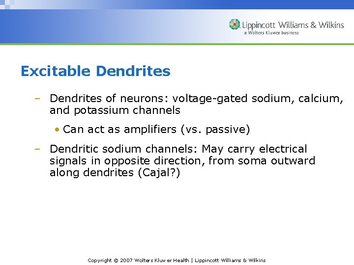 Excitable Dendrites – Dendrites of neurons: voltage-gated sodium, calcium, and potassium channels • Can