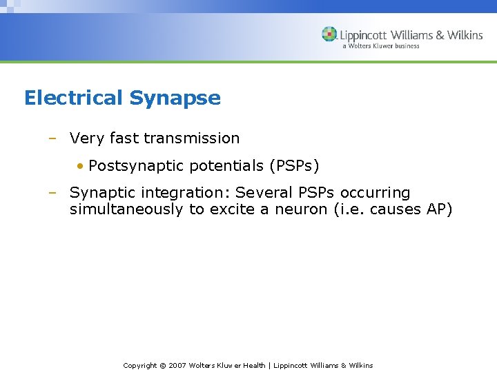 Electrical Synapse – Very fast transmission • Postsynaptic potentials (PSPs) – Synaptic integration: Several