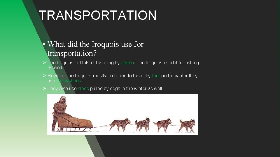 TRANSPORTATION • What did the Iroquois use for transportation? Ø The Iroquois did lots