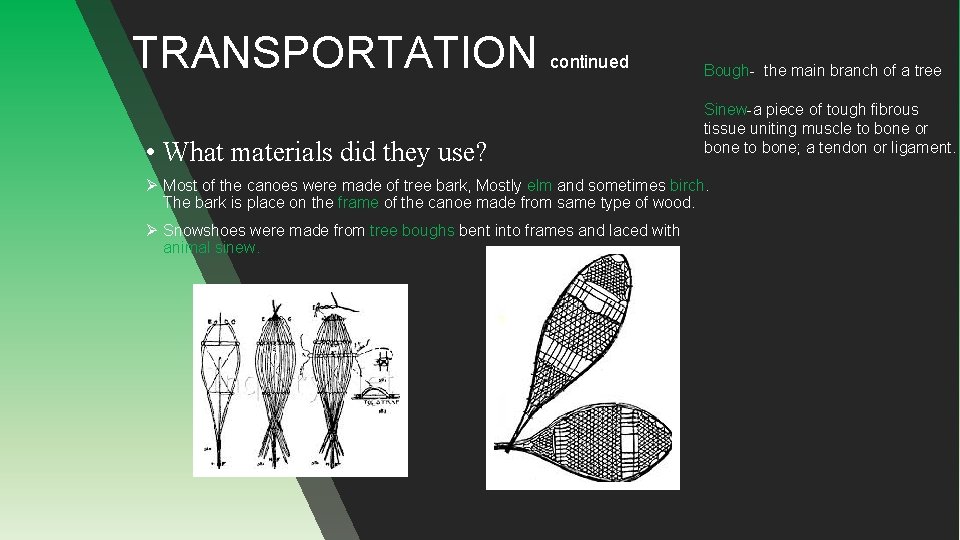TRANSPORTATION continued • What materials did they use? Bough- the main branch of a