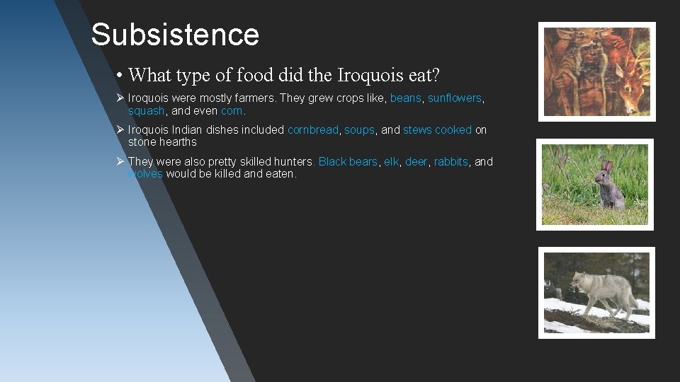 Subsistence • What type of food did the Iroquois eat? Ø Iroquois were mostly