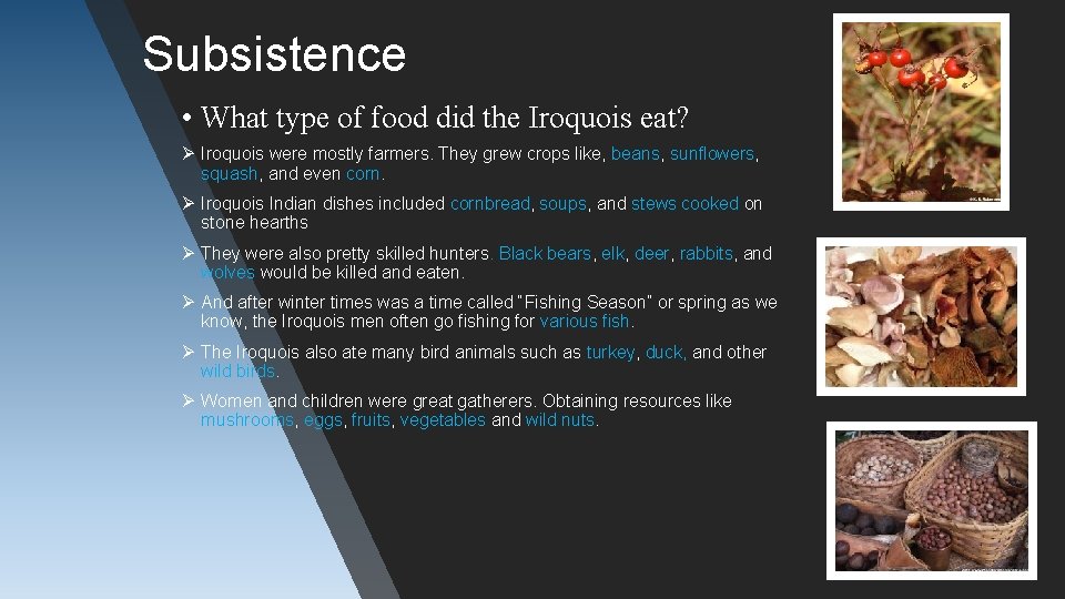 Subsistence • What type of food did the Iroquois eat? Ø Iroquois were mostly
