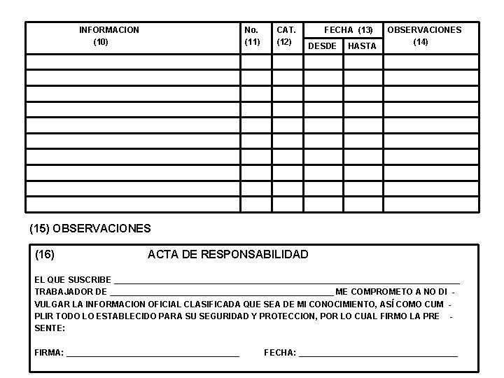 INFORMACION (10) No. (11) CAT. (12) FECHA (13) DESDE HASTA OBSERVACIONES (14) (15) OBSERVACIONES