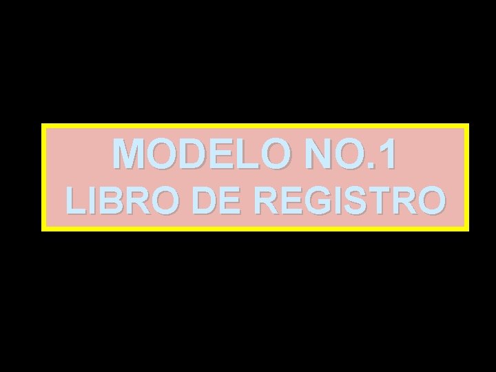 MODELO NO. 1 LIBRO DE REGISTRO 