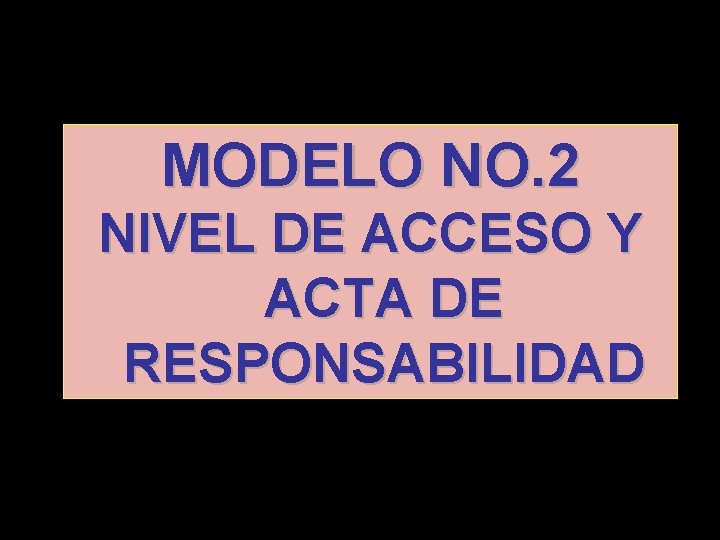 MODELO NO. 2 NIVEL DE ACCESO Y ACTA DE RESPONSABILIDAD 