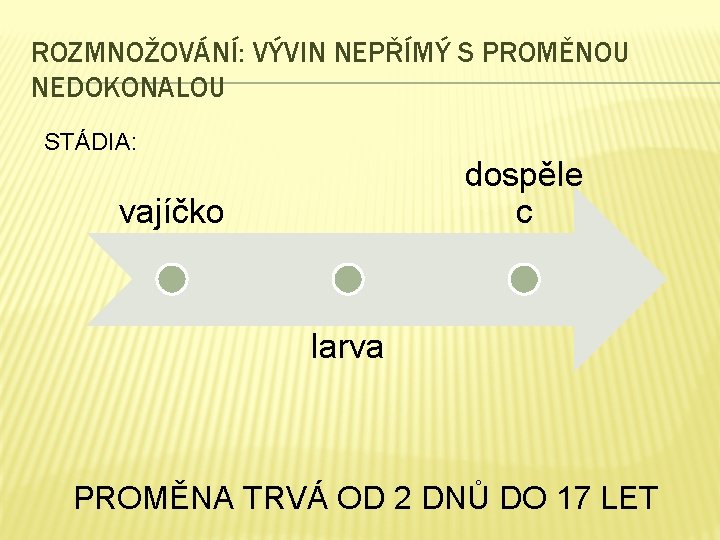 ROZMNOŽOVÁNÍ: VÝVIN NEPŘÍMÝ S PROMĚNOU NEDOKONALOU STÁDIA: dospěle c vajíčko larva PROMĚNA TRVÁ OD