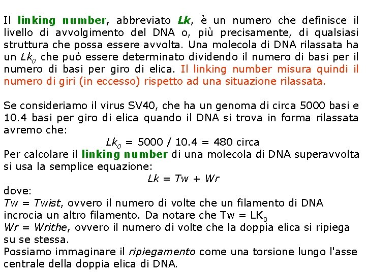 Il linking number, abbreviato Lk, è un numero che definisce il livello di avvolgimento