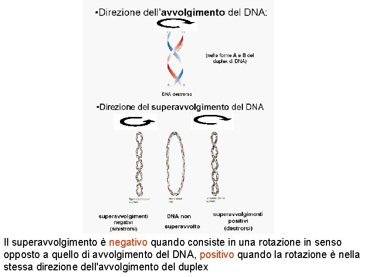 Il superavvolgimento è negativo quando consiste in una rotazione in senso opposto a quello