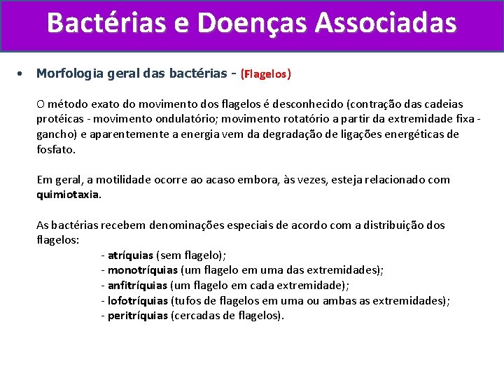 Bactérias e Doenças Associadas • Morfologia geral das bactérias - (Flagelos) O método exato
