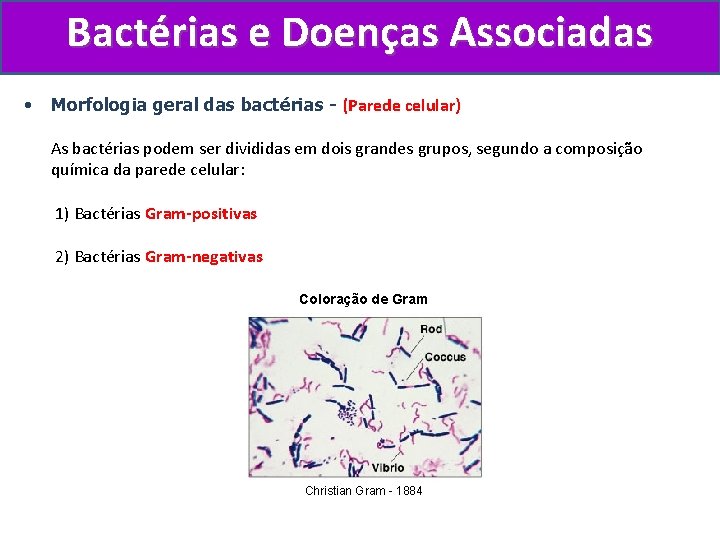 Bactérias e Doenças Associadas • Morfologia geral das bactérias - (Parede celular) As bactérias