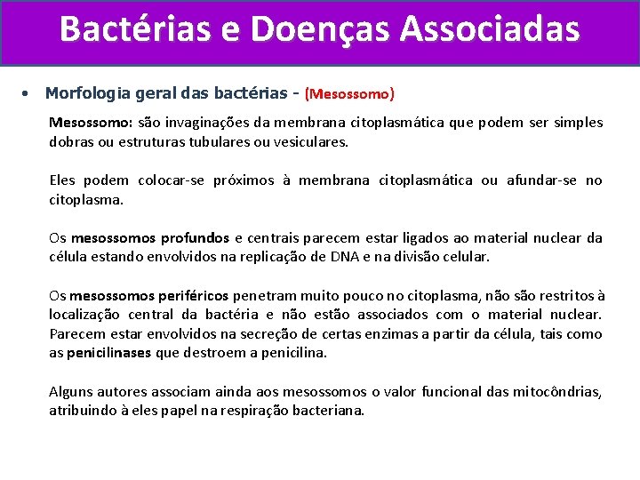 Bactérias e Doenças Associadas • Morfologia geral das bactérias - (Mesossomo) Mesossomo: são invaginações