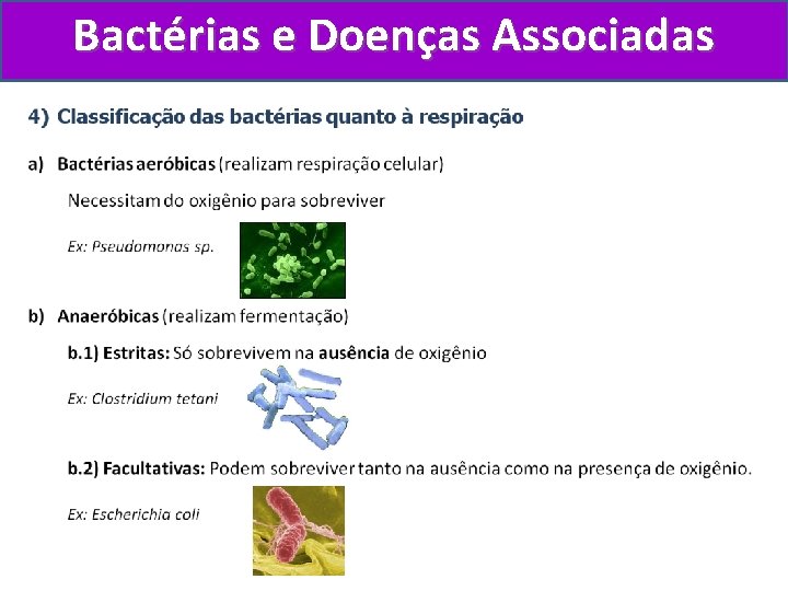 Bactérias e Doenças Associadas 