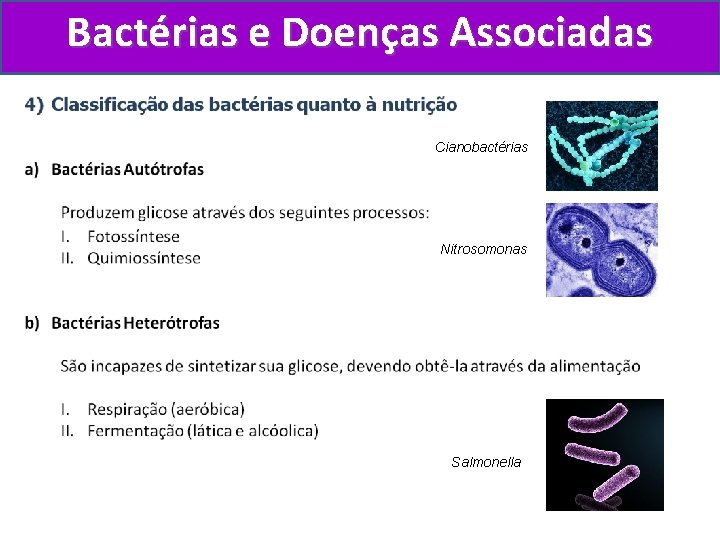 Bactérias e Doenças Associadas Cianobactérias Nitrosomonas Salmonella 