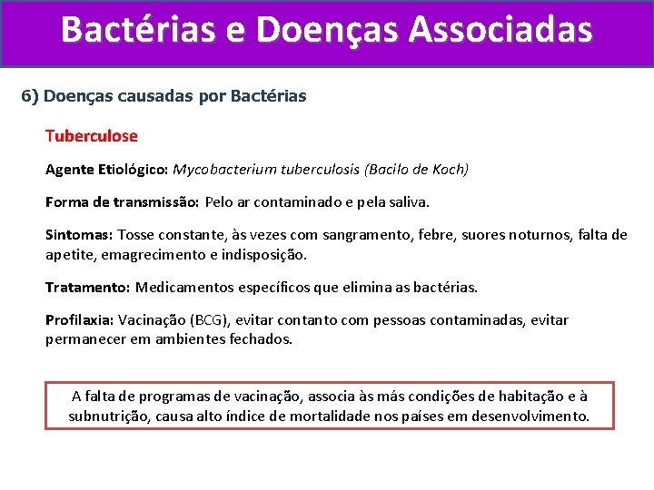 Bactérias e Doenças Associadas 6) Doenças causadas por Bactérias Tuberculose Agente Etiológico: Mycobacterium tuberculosis