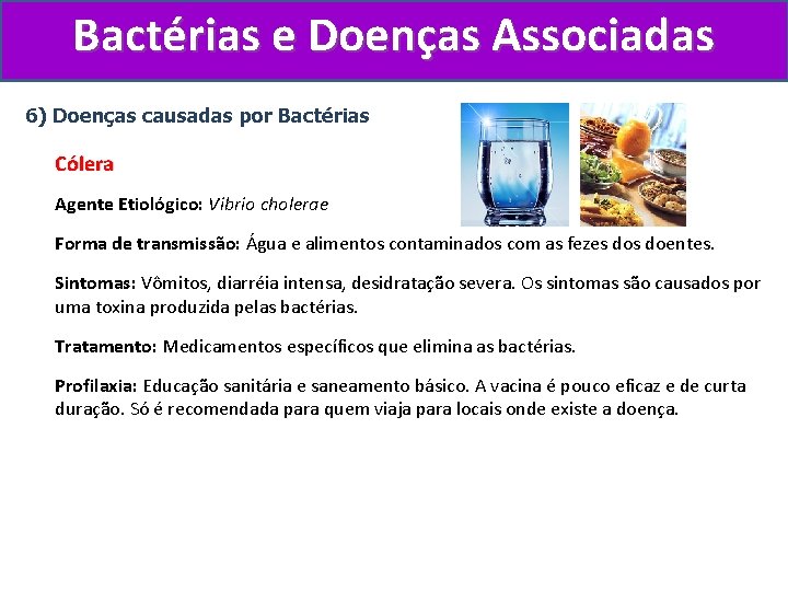 Bactérias e Doenças Associadas 6) Doenças causadas por Bactérias Cólera Agente Etiológico: Vibrio cholerae