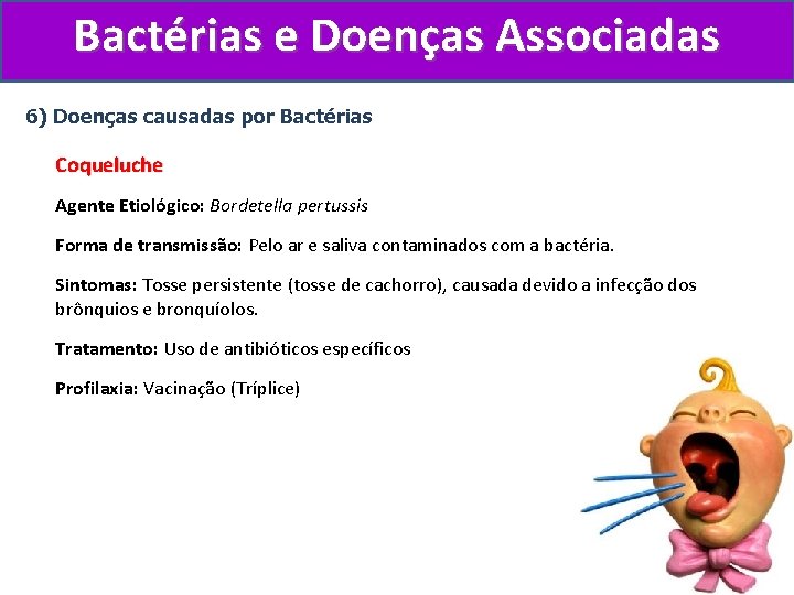 Bactérias e Doenças Associadas 6) Doenças causadas por Bactérias Coqueluche Agente Etiológico: Bordetella pertussis