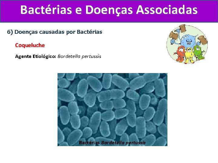 Bactérias e Doenças Associadas 6) Doenças causadas por Bactérias Coqueluche Agente Etiológico: Bordetella pertussis