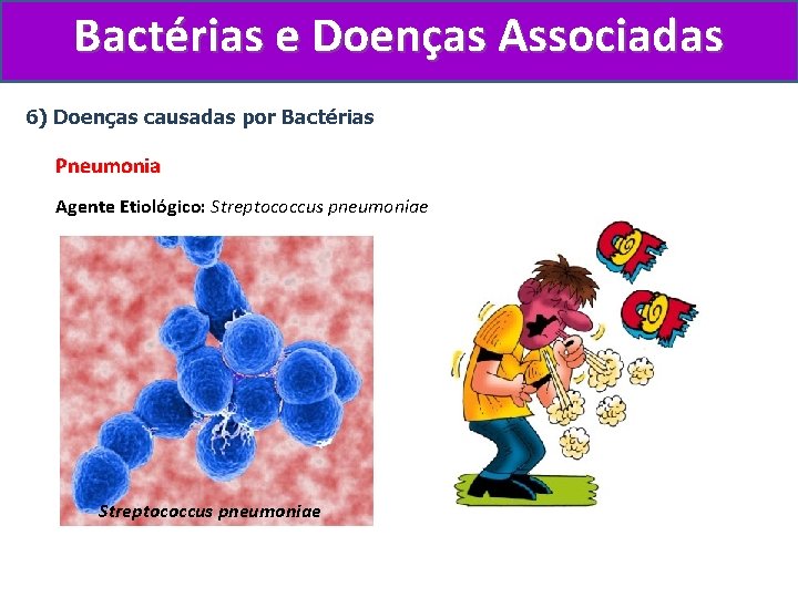 Bactérias e Doenças Associadas 6) Doenças causadas por Bactérias Pneumonia Agente Etiológico: Streptococcus pneumoniae