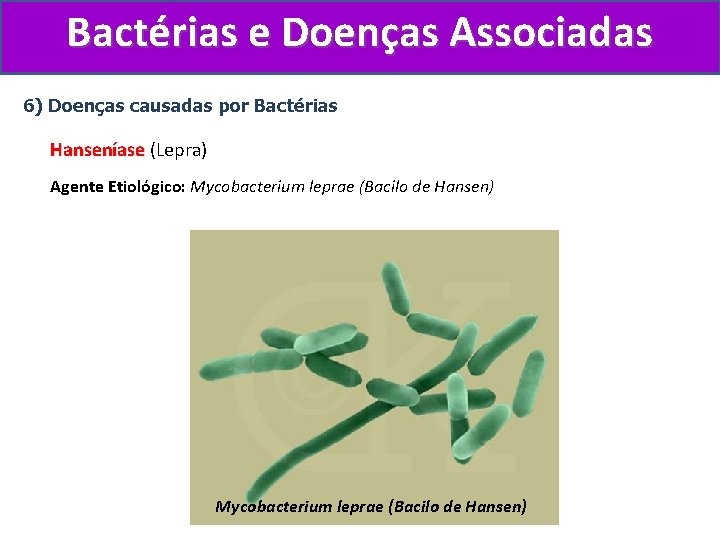 Bactérias e Doenças Associadas 6) Doenças causadas por Bactérias Hanseníase (Lepra) Agente Etiológico: Mycobacterium