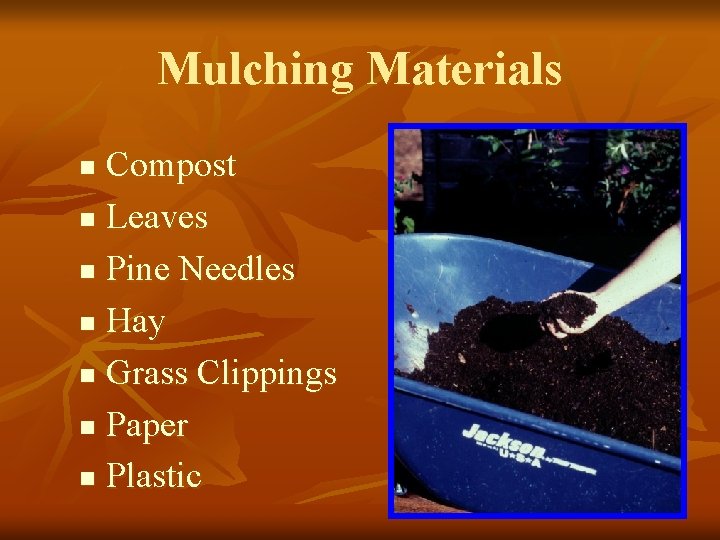 Mulching Materials Compost n Leaves n Pine Needles n Hay n Grass Clippings n