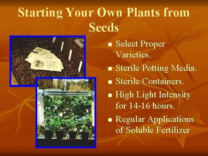 Starting Your Own Plants from Seeds n n n Select Proper Varieties. Sterile Potting