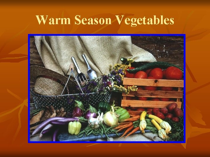 Warm Season Vegetables 