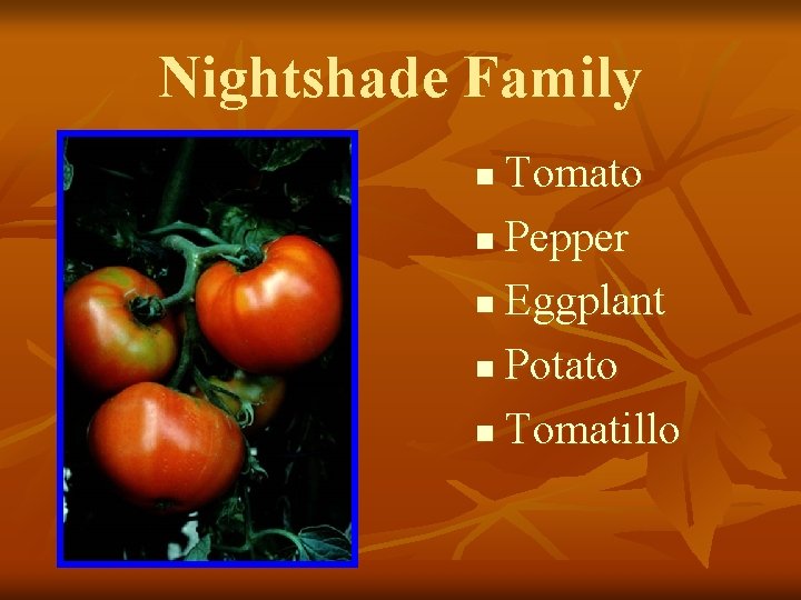 Nightshade Family Tomato n Pepper n Eggplant n Potato n Tomatillo n 