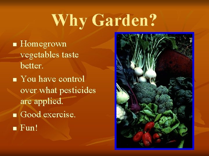 Why Garden? n n Homegrown vegetables taste better. You have control over what pesticides