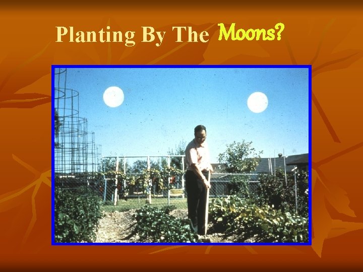 Planting By The Moons? 