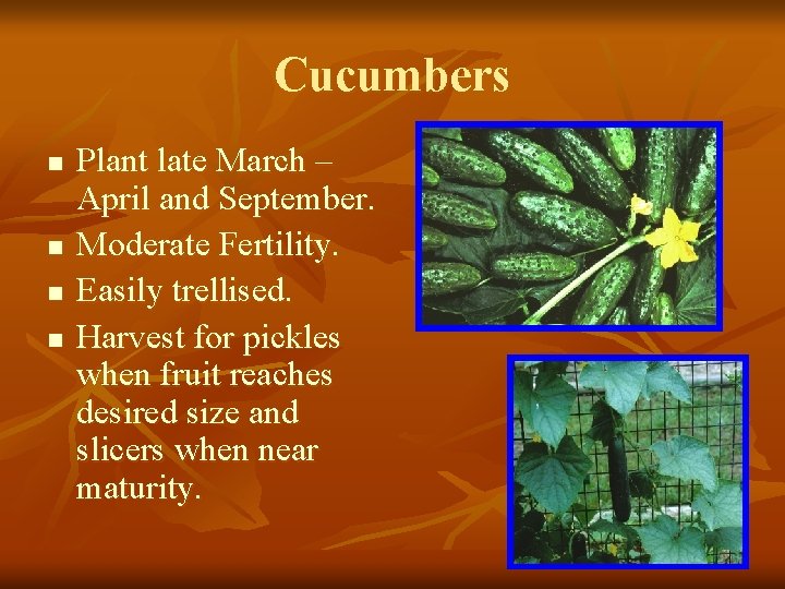Cucumbers n n Plant late March – April and September. Moderate Fertility. Easily trellised.